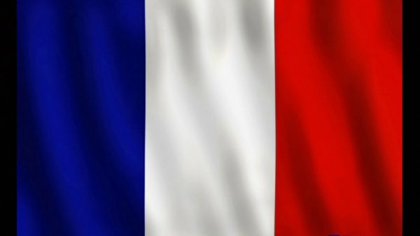 Во французском уголовном праве нет исчерпывающей трактовки термина «государственная измена»