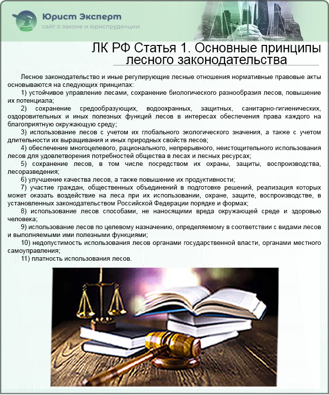 ЛК РФ Статья 1. Основные принципы лесного законодательства